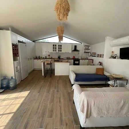 Willa Oezel Havuzlu Kiralik Tas Kusadası