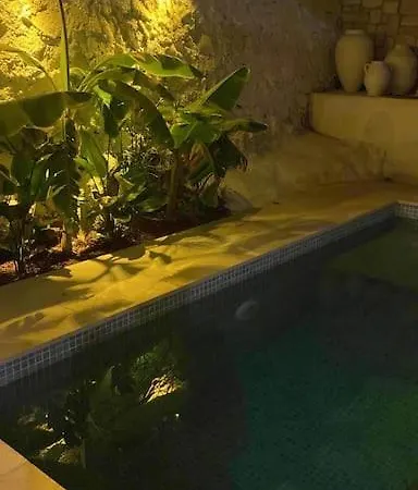 Oezel Havuzlu Kiralik Tas Kusadası